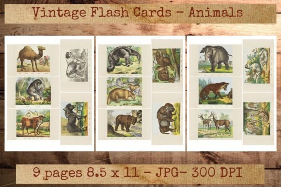 Download Vintage Animal Homeschooling Flashcards - Homeschool Collection